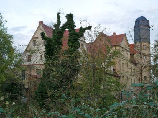 Altes vierstöckiges Schloss mit dunklem Turm und Ziegeldach hinter Bäumen und Brombeerranken