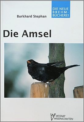 Cover des Buches "Die Amsel" mit einem schwarzen Männchen, das auf einem Pfahl sitzt.