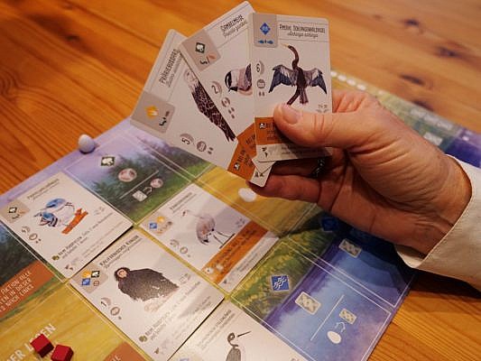 Die Spielertafel des Flügelschlag-Spiels mit drei Vogelkarten in der Hand.