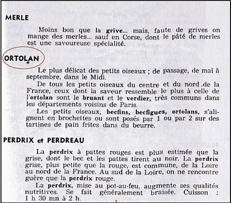 Kopie aus einem französischen Kochbuch mit Rezepten für Ortolan und andere Vögel
