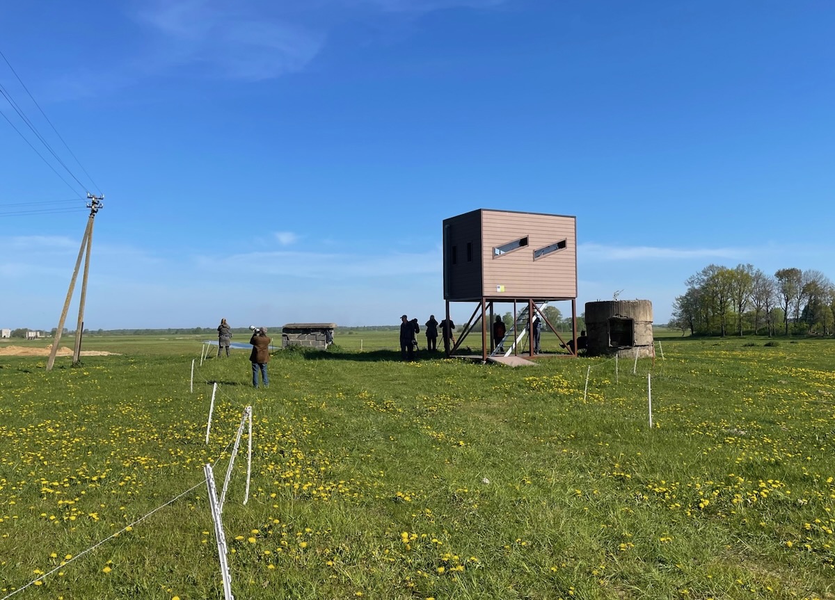 Vogelbeobachtung auf einer Wiese, auf auf Stelzen eine Beobachtungshütte steht.